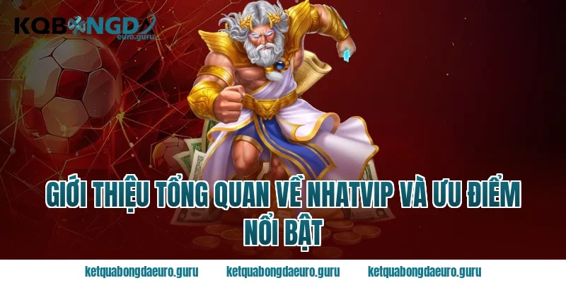 Giới thiệu tổng quan về nhatvip và ưu điểm nổi bật